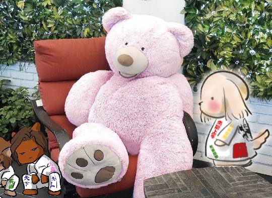 EGG'S CAFE 　Simple is Best 