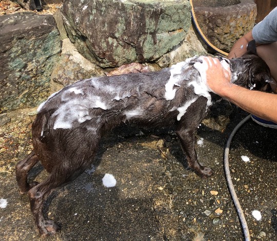 生き物ルーム第20