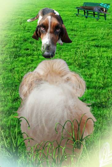 生き物ルーム第19