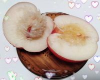 7月6日(月曜日)　尼崎倉庫店｜ピン熊　一匹、3999円　ベビーピンク...