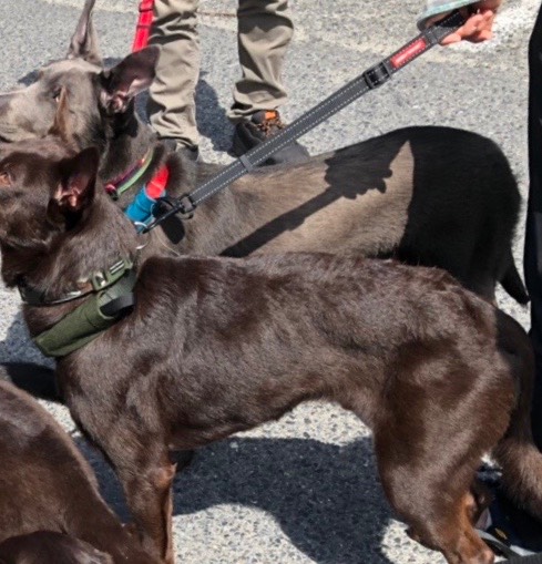 生き物ルーム第19