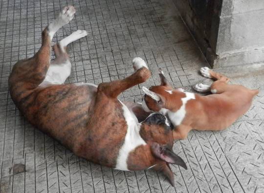 生き物ルーム第19