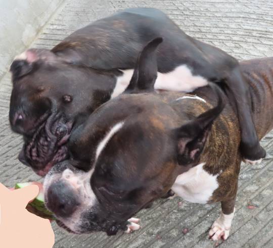 生き物ルーム第22