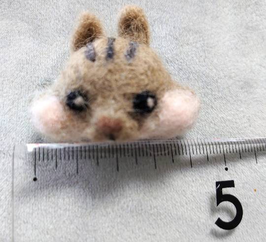 生き物ルーム第22