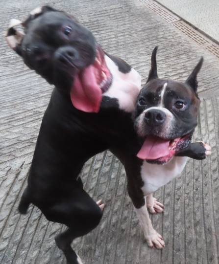 生き物ルーム第22