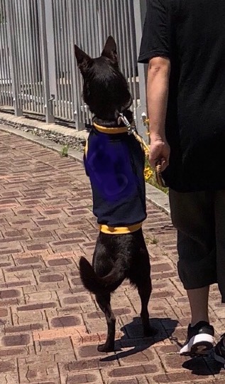 生き物ルーム第22