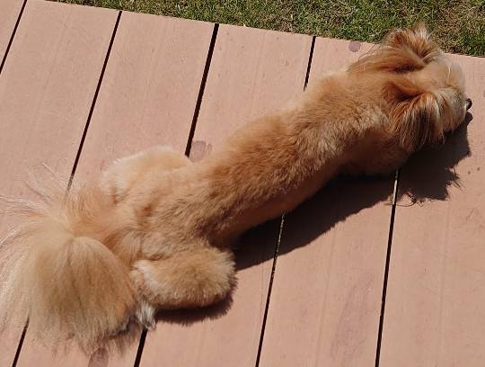 生き物ルーム第22