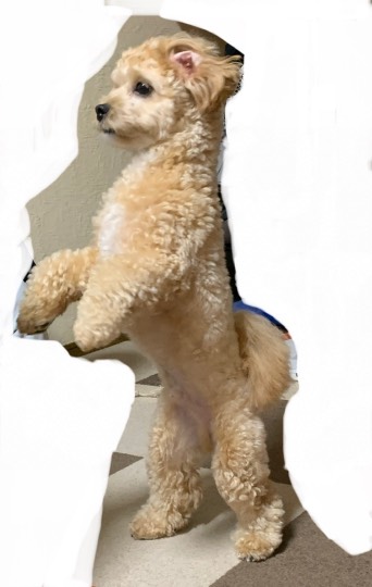 生き物ルーム第22