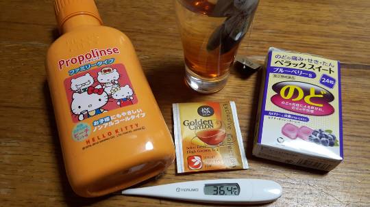 マスク同窓会詰所兼ニューフェイス歓迎所4