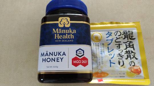 マスク同窓会詰所兼ニューフェイス歓迎所4