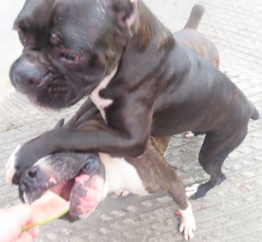 生き物ルーム第22