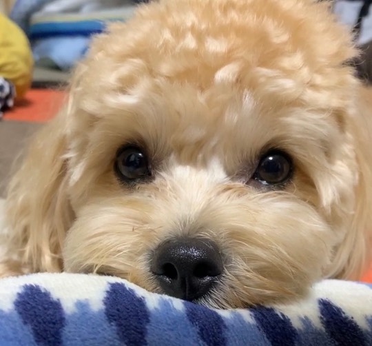 生き物ルーム第22