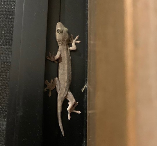 生き物ルーム第22