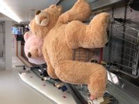 ハグミーベア　1