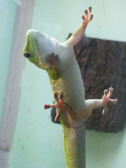 生き物ルーム第22