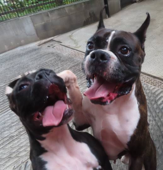 生き物ルーム第22