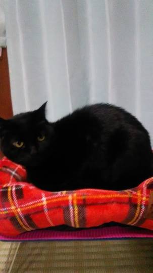 生き物ルーム第22