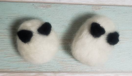 生き物ルーム第22