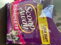 8月19日(水曜日)　中部空港倉庫店｜おはようございます。
チーズハットクは...