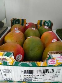 8月18日(火曜日)　広島倉庫店｜午前中またまた野菜を買いに行ってきました...