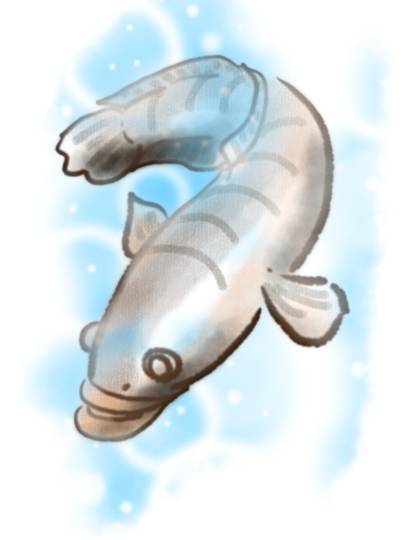 ゲーム好きさんあつまれ Ⅱ