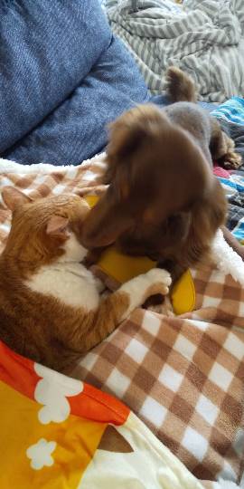 生き物ルーム第22