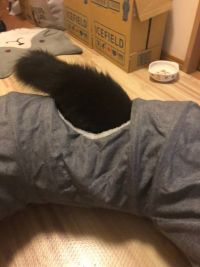 Catit キャットトンネル クッション付き グレー