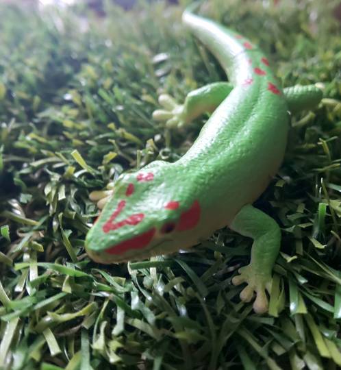 生き物ルーム第22