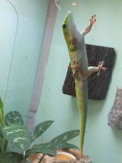 生き物ルーム第22