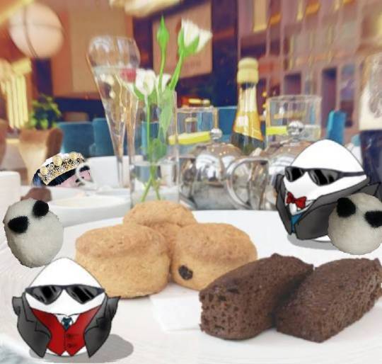 生き物ルーム第22