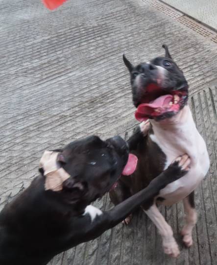 生き物ルーム第22