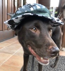 生き物ルーム第22