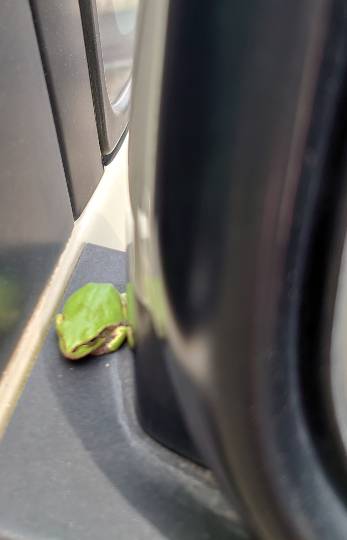 生き物ルーム第22