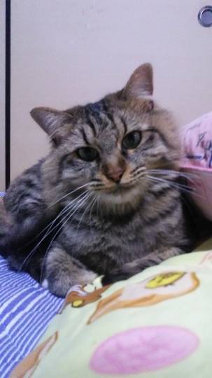 生き物ルーム第22