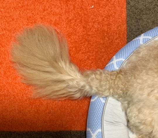 生き物ルーム第22