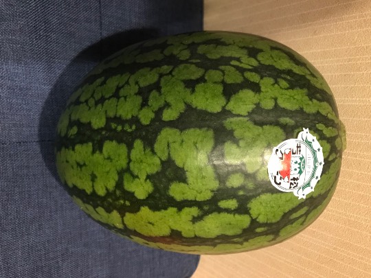 生き物ルーム第22