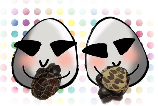 生き物ルーム第22