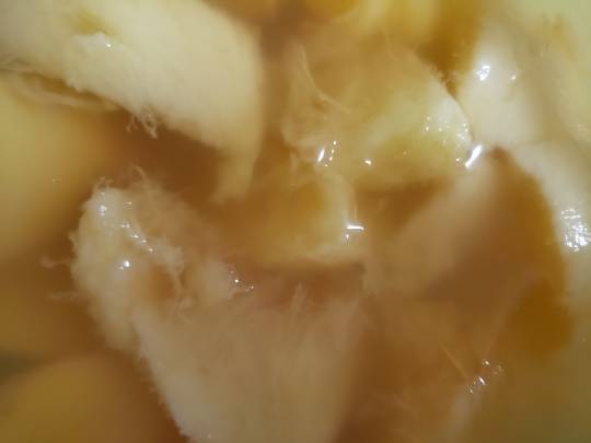 マスク同窓会詰所兼ニューフェイス歓迎所4