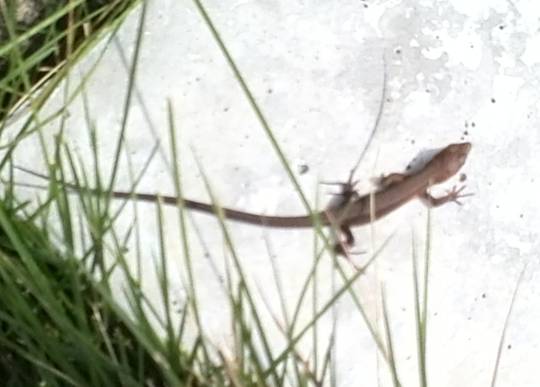 生き物ルーム第22