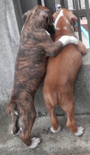 生き物ルーム第22