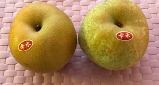 生き物ルーム第22