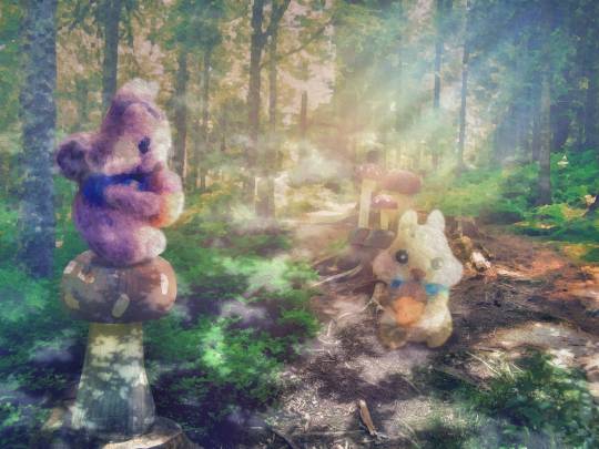 生き物ルーム第22