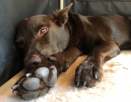 生き物ルーム第22