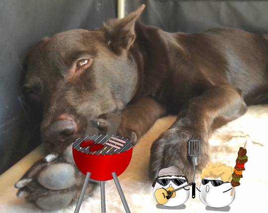 生き物ルーム第22