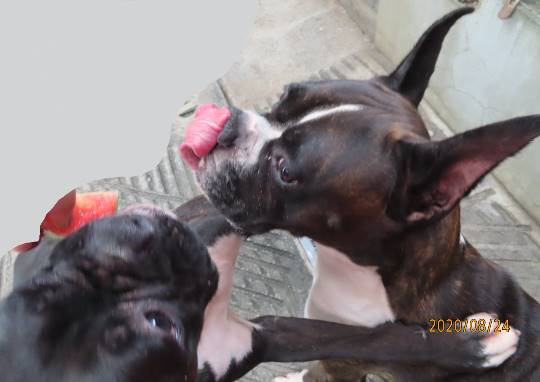 生き物ルーム第22