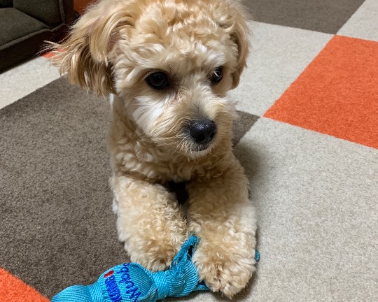 生き物ルーム第23