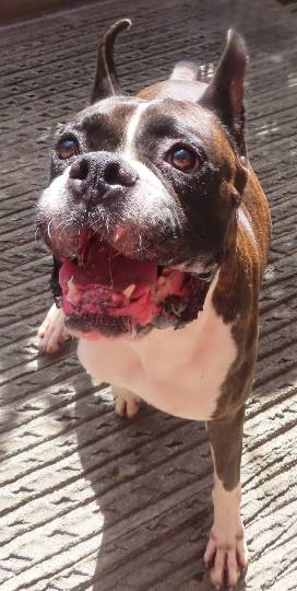 生き物ルーム第22