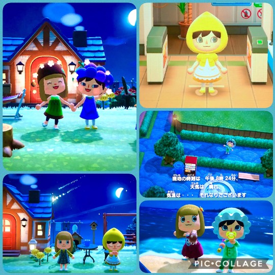 あつまれゲーム好きさんの森Ⅳ〜その他の話もあるでよ〜