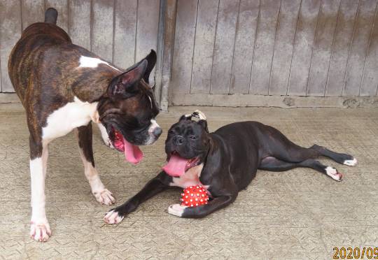 生き物ルーム第23