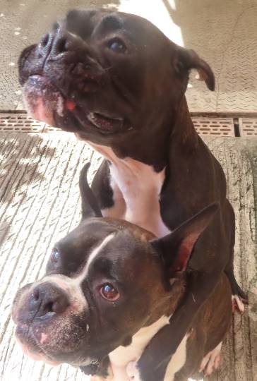 生き物ルーム第22